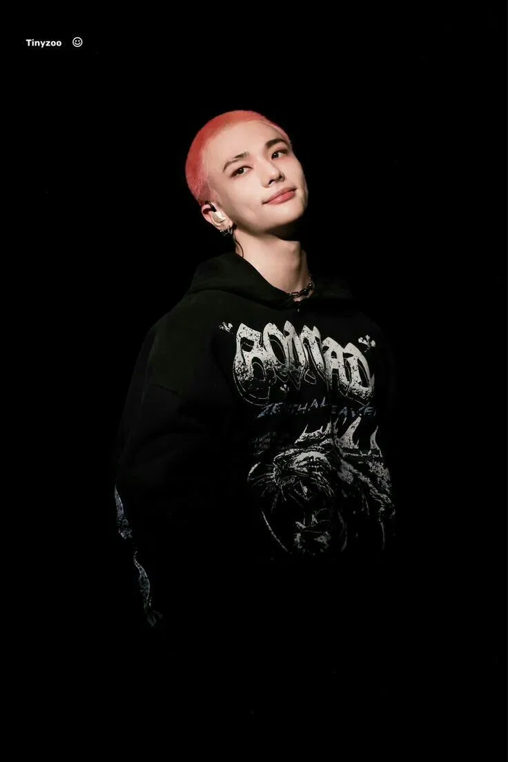 Avatar of Hwan Hyunjin 