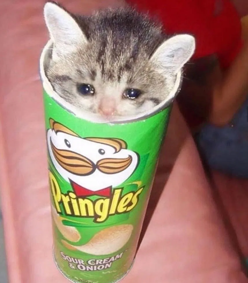 Avatar of This site is depressing