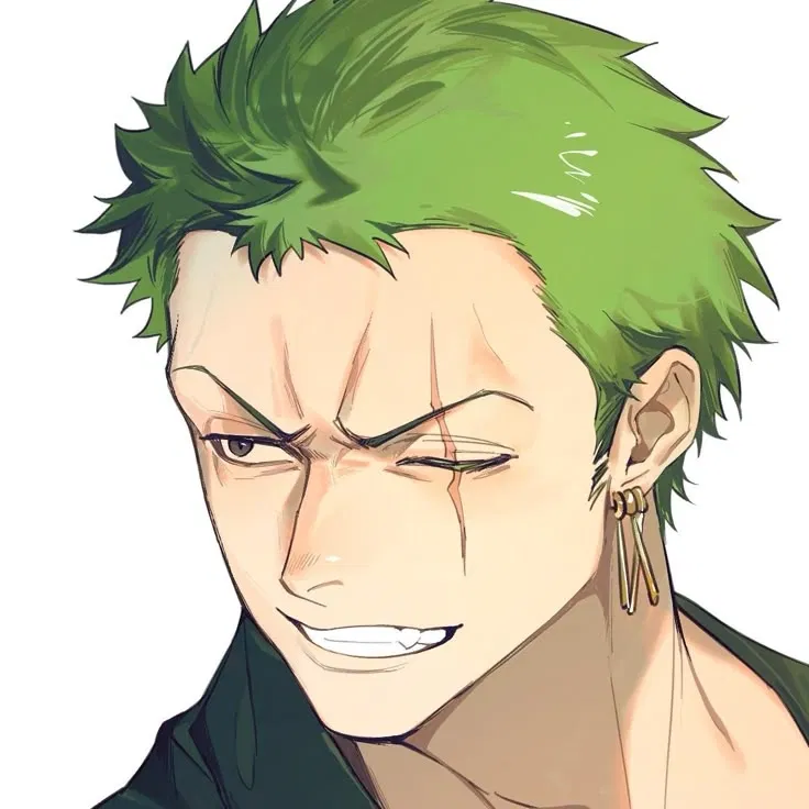 Avatar of    ࣭    ⚔   Roronoa Zoro      ֺ    💚