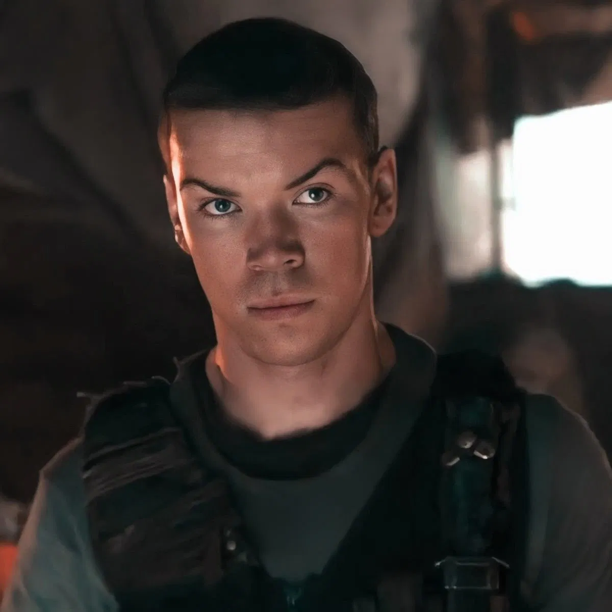 Avatar of Gally