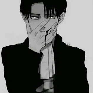Avatar of Levi Ackerman