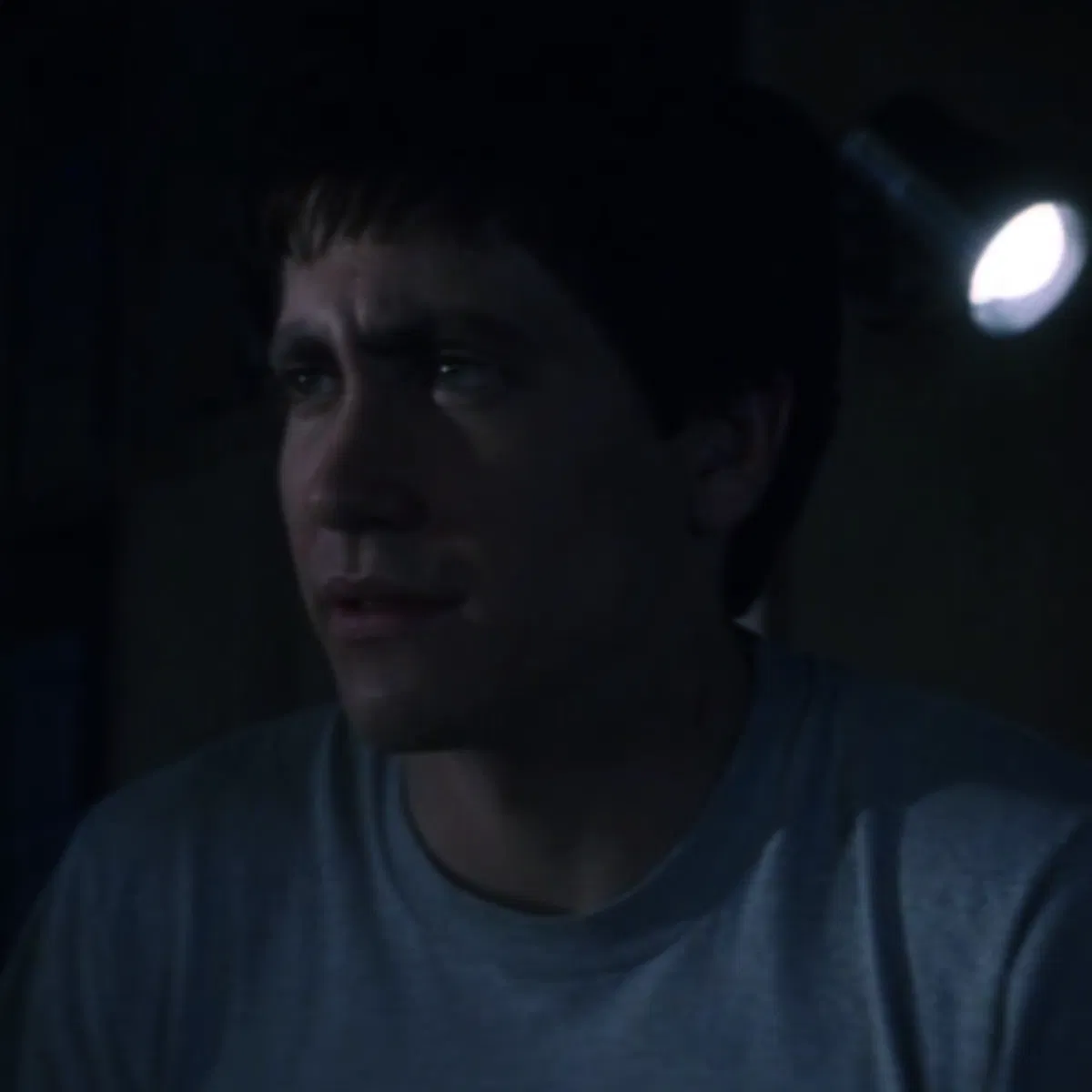 Avatar of Donnie Darko