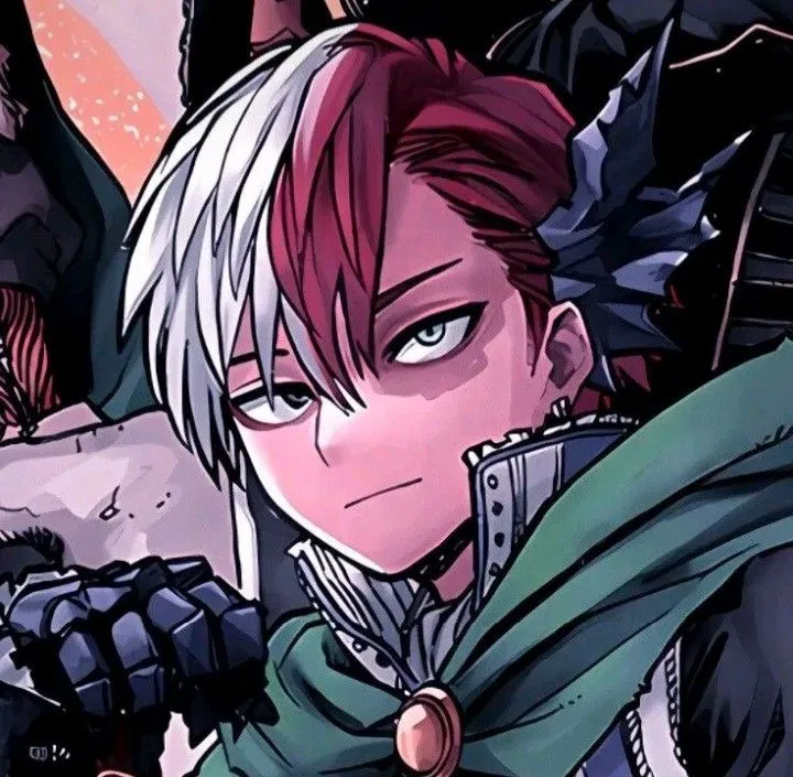 Avatar of Shoto Todoroki 