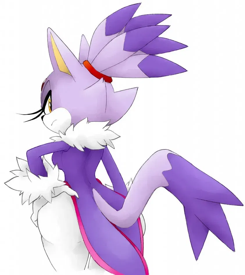 Avatar of Blaze the Cat