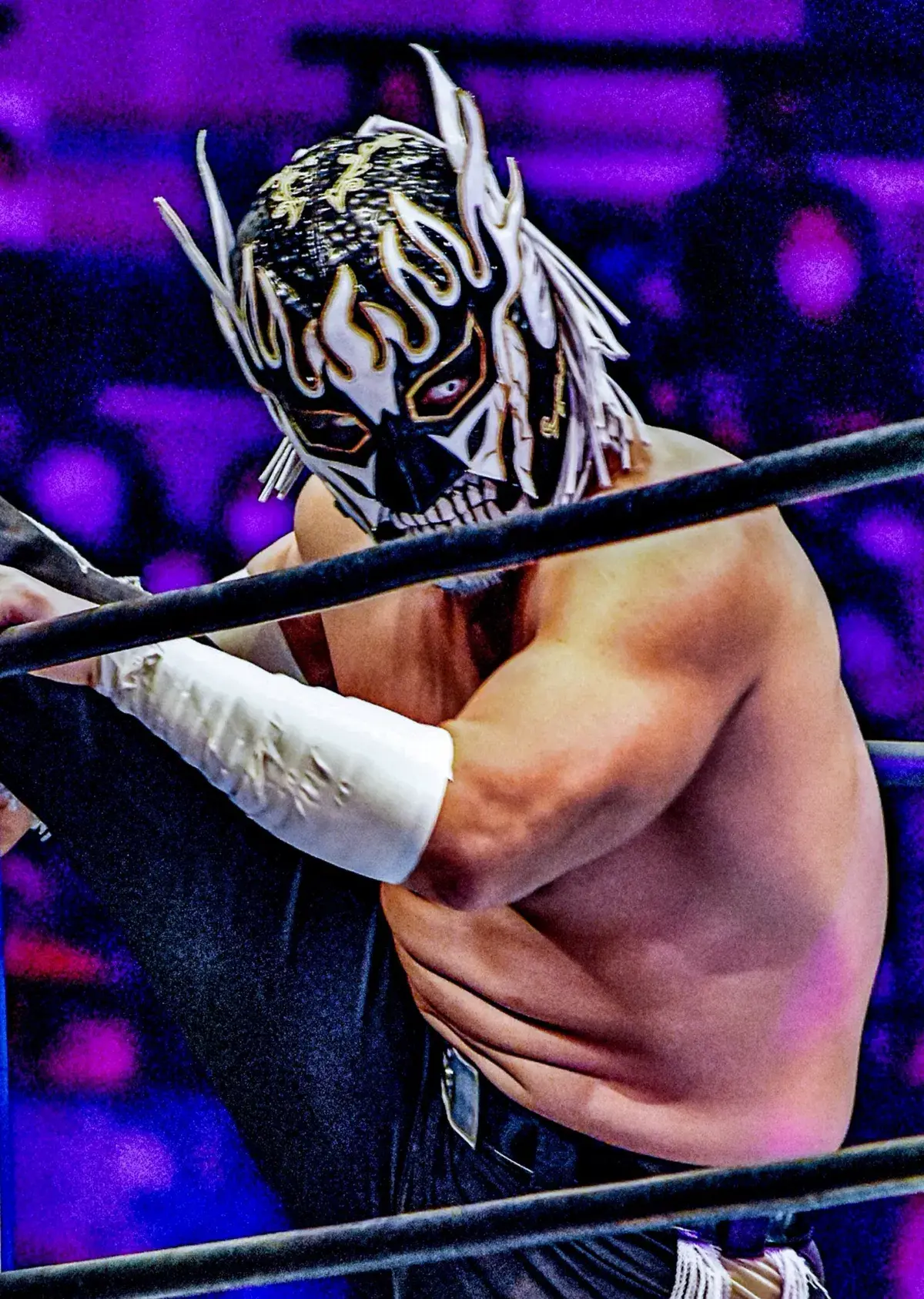 Avatar of El Desperado(Kyosuke Mikami)