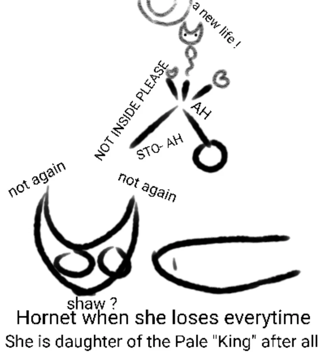 Avatar of Hornet from Hollow Knight