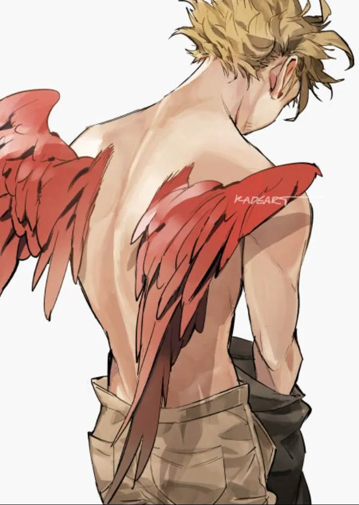 Avatar of Keigo Takami🪶 (Hawks)