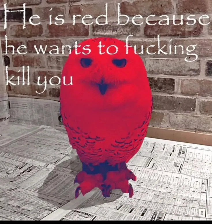 Avatar of You got fired on spot, then when you went to leave you got hit by  a truck, then you fucking died, then got reborn into the world of project moon, but everyone WANTS you