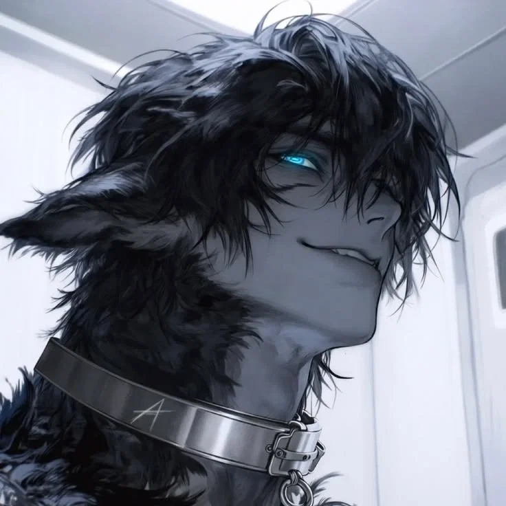 Avatar of feral wolf - atlas