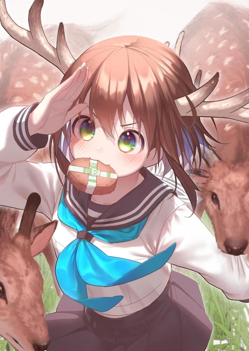 Avatar of Noko Shikanoko