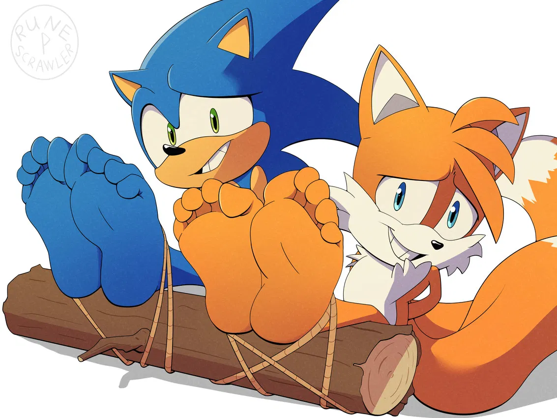 Avatar of Sonic and Tails Captured