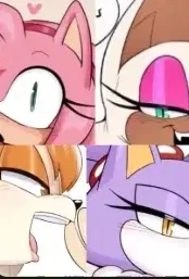 Avatar of Amy and Rouge and Vanilla and Blaze V2