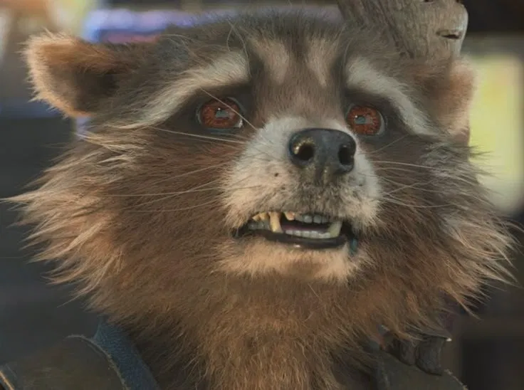 Avatar of Rocket racoon 