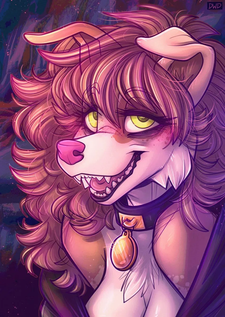 Avatar of 𝓓𝓲𝓶𝓶𝓲 ~ 𝓢𝓽𝓸𝓷𝓮𝓻 𝓖𝓕