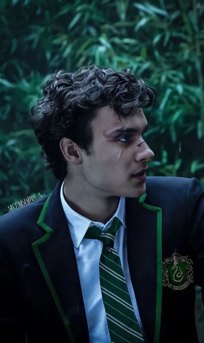 Avatar of Mattheo Riddle || ALT