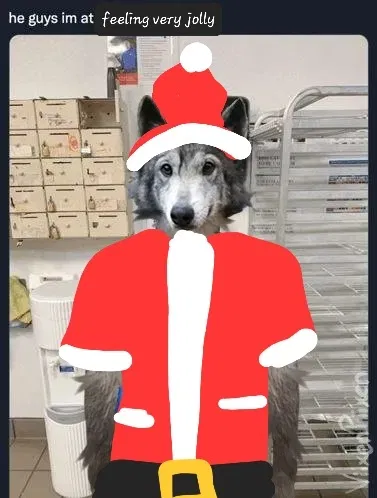 Avatar of Update / announcement bot