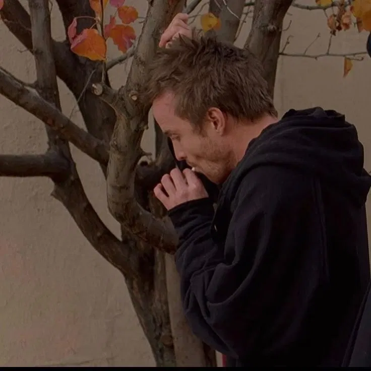 Avatar of Jesse Pinkman