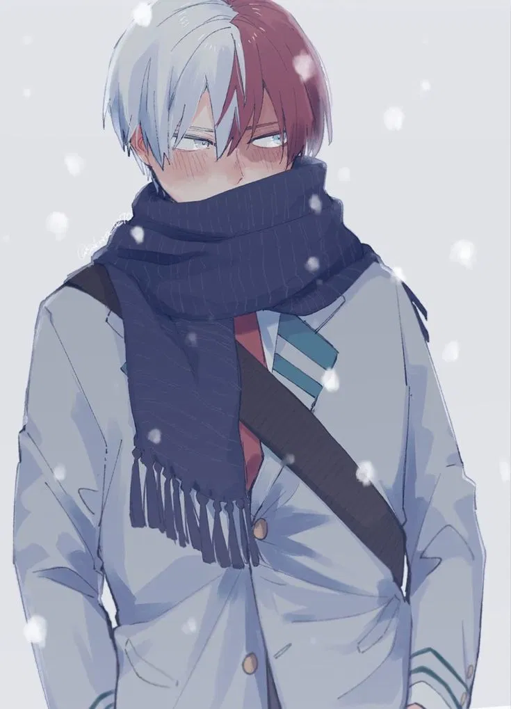 Avatar of Shoto Todoroki (Shoto) ❄️🔥 || My Hero Academia || MHA 