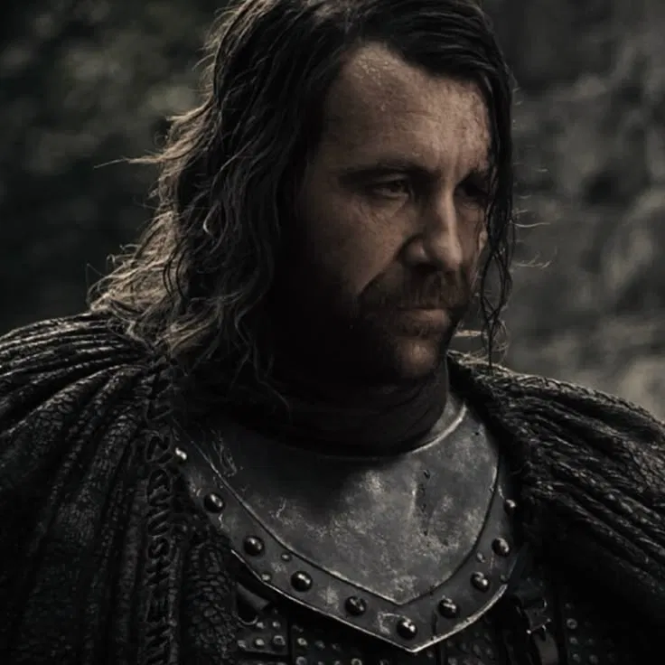 Avatar of Sandor Clegane | Game Of Thrones