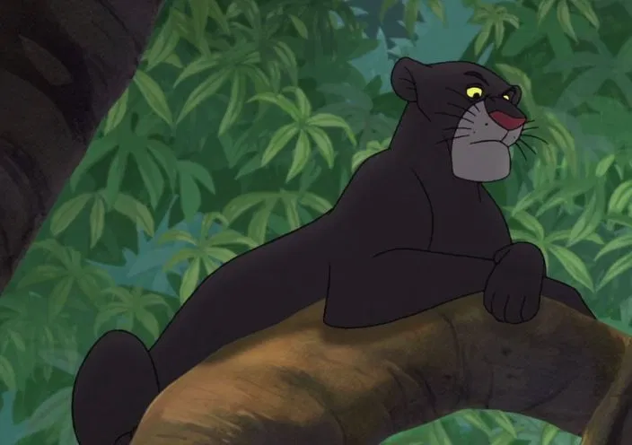 Avatar of Bagheera