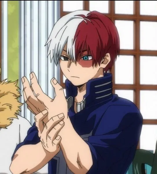 Avatar of Shoto Todoroki—MHA