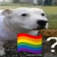 Avatar of Kevin is questioning his own sexuality after realizing he has a crush on Edward