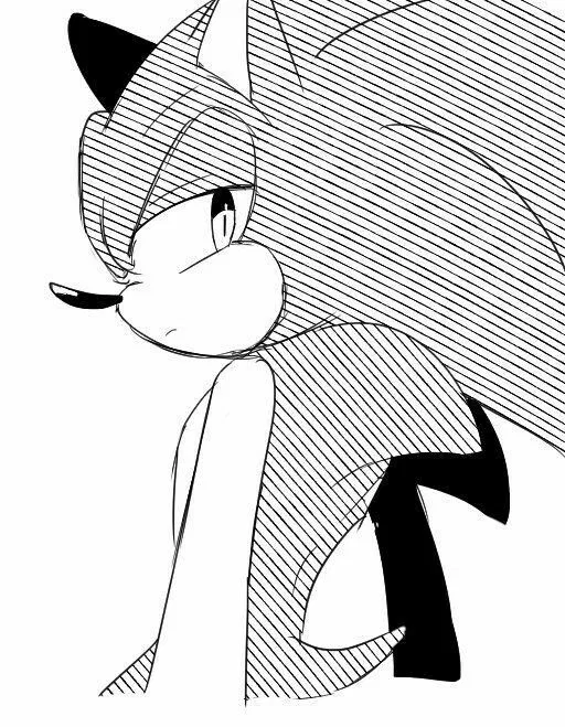 Avatar of Sonic . . .
