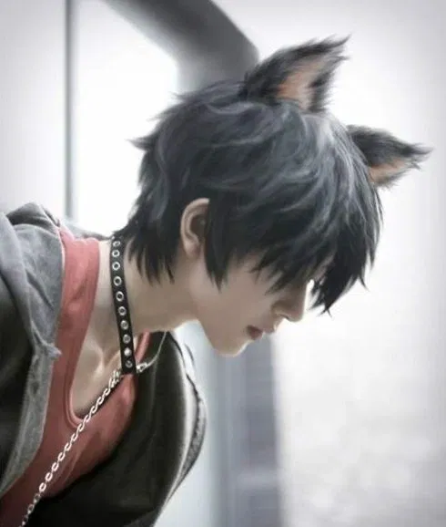 Avatar of 🐾 | Your cat turned into a demi-human