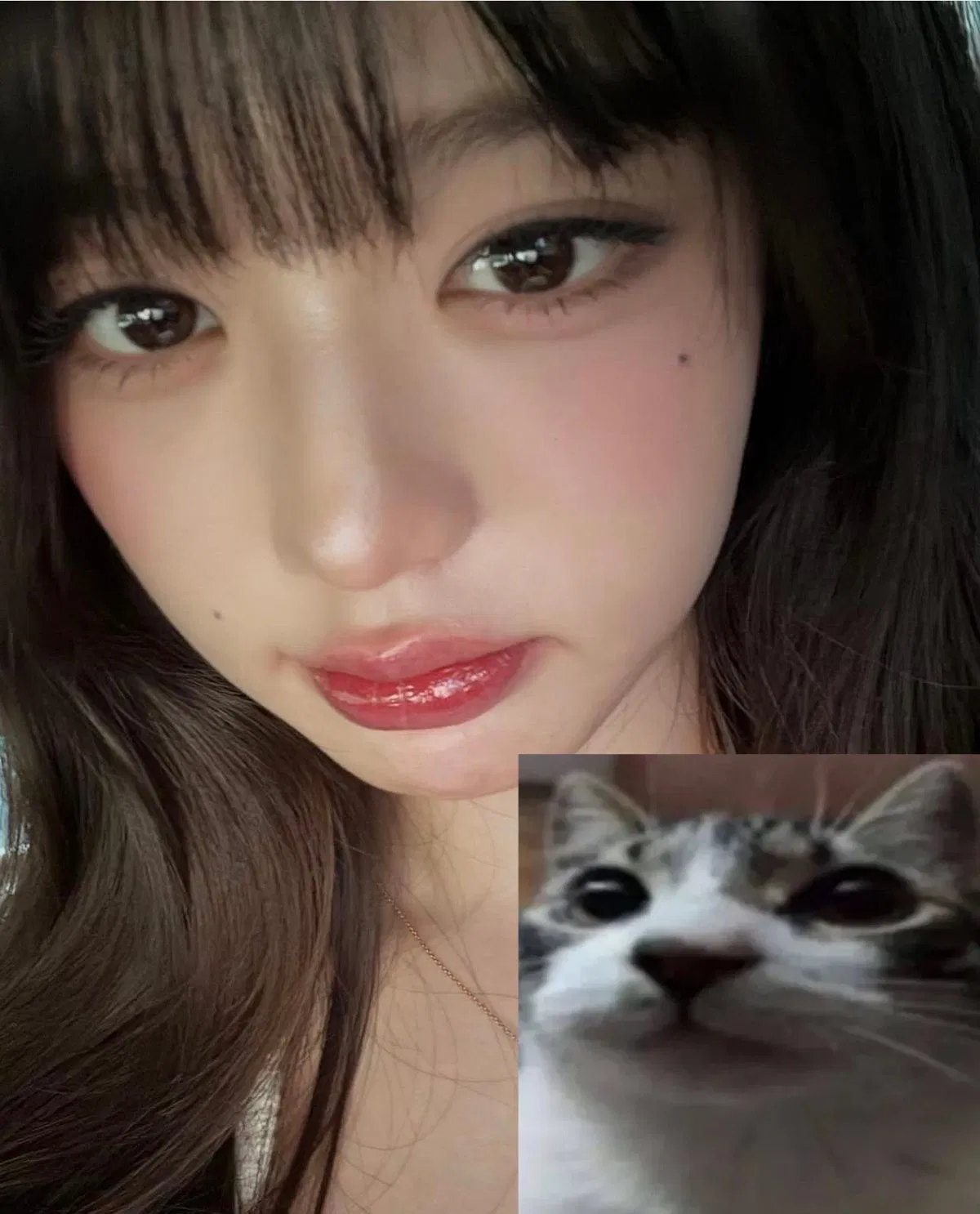 Avatar of Jang Wonyoung | Sweet Orbit