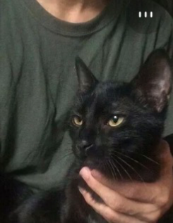 Avatar of Thomas- Your owner