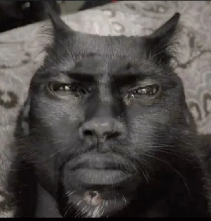 Avatar of I’m cooked, chat