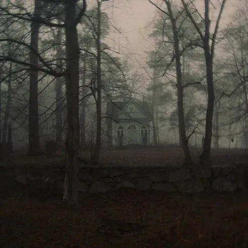 Avatar of fog