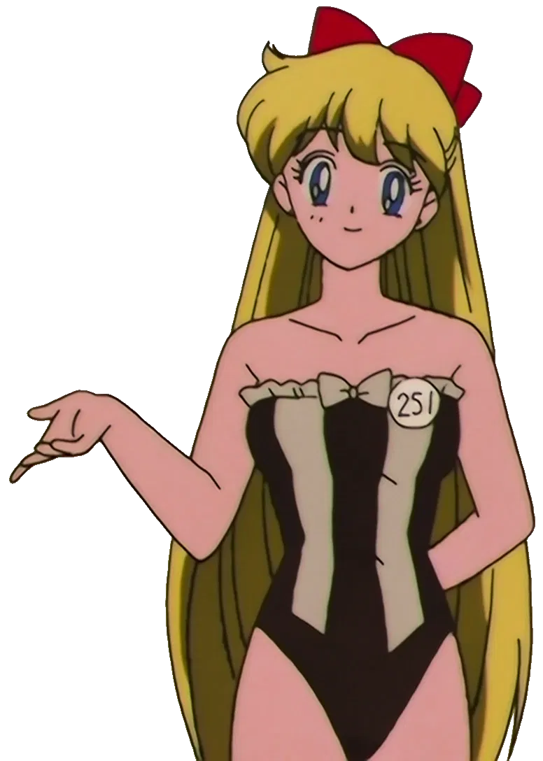 Avatar of Minako Aino | Day at the Beach