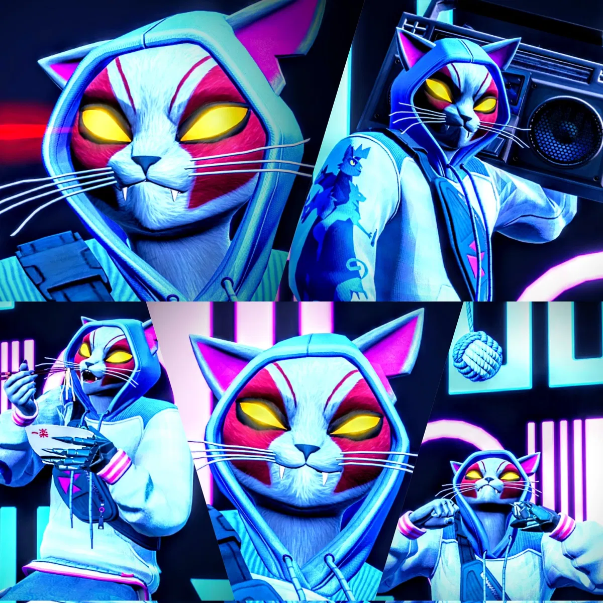 Avatar of Nyanja! 🤍😺