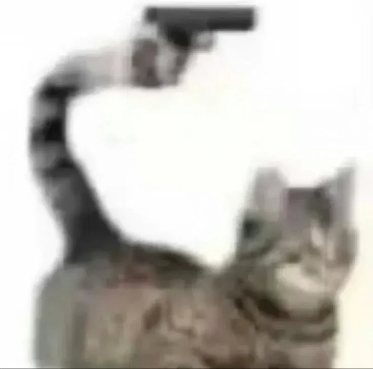 Avatar of meow