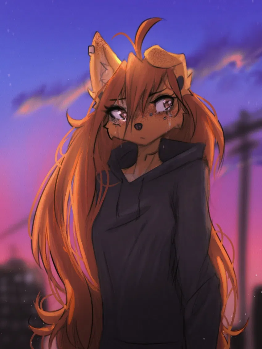 Avatar of Zenith Apogee - Rooftop Silence (Early 2010s) 