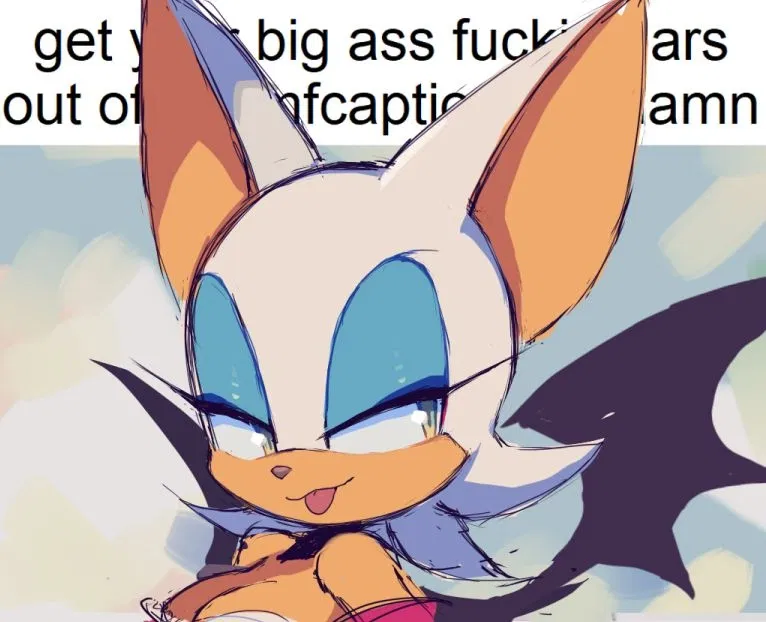Avatar of Rouge The Bat