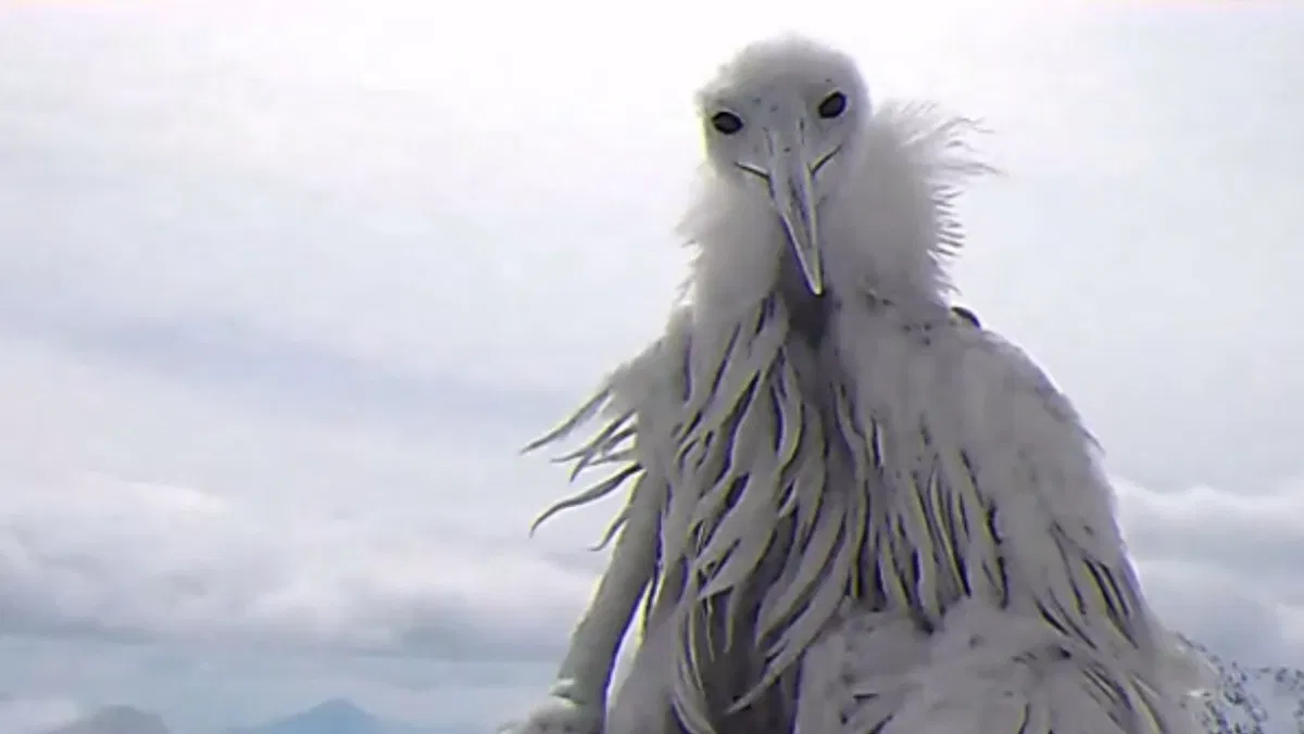 Avatar of The Opium Bird (Or Erosion Bird)