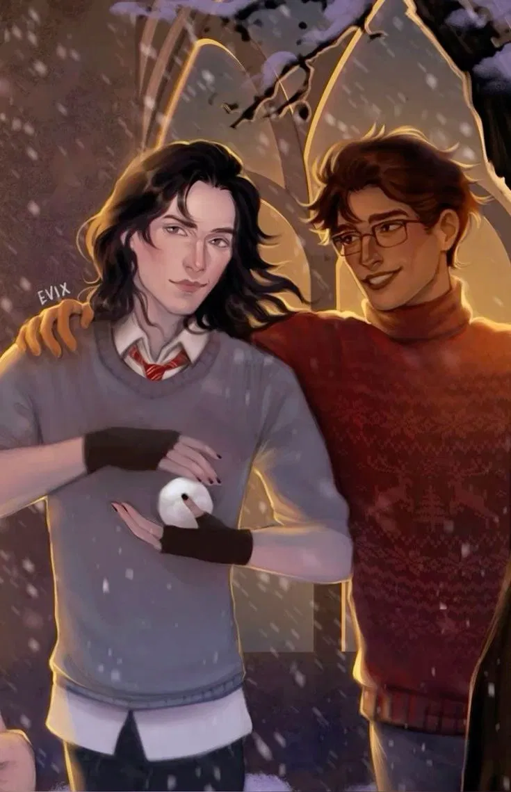 Avatar of Sirius Black || Holidays in Wales