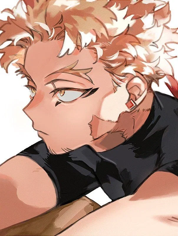 Avatar of Keigo Takami🪶 (Hawks) || My Hero Academia || MHA
