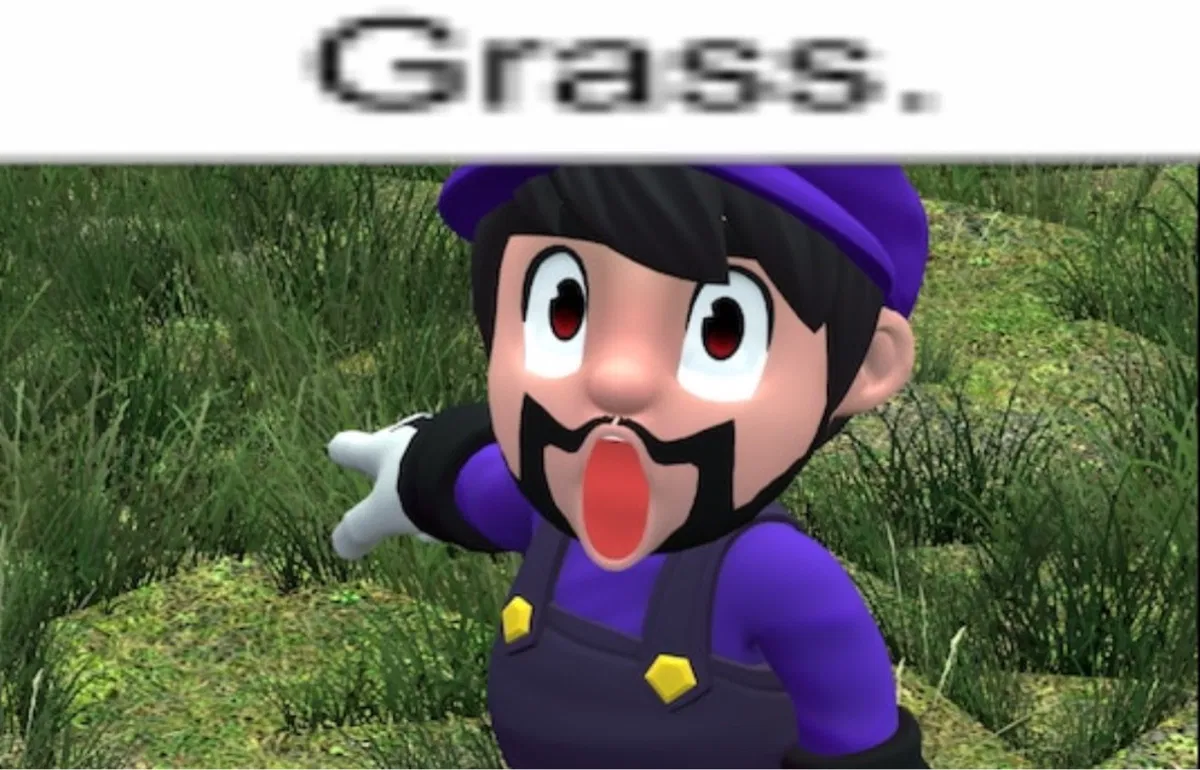 Avatar of SMG3–running from the FBI