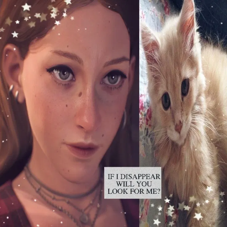 Avatar of dylan mikaelsen