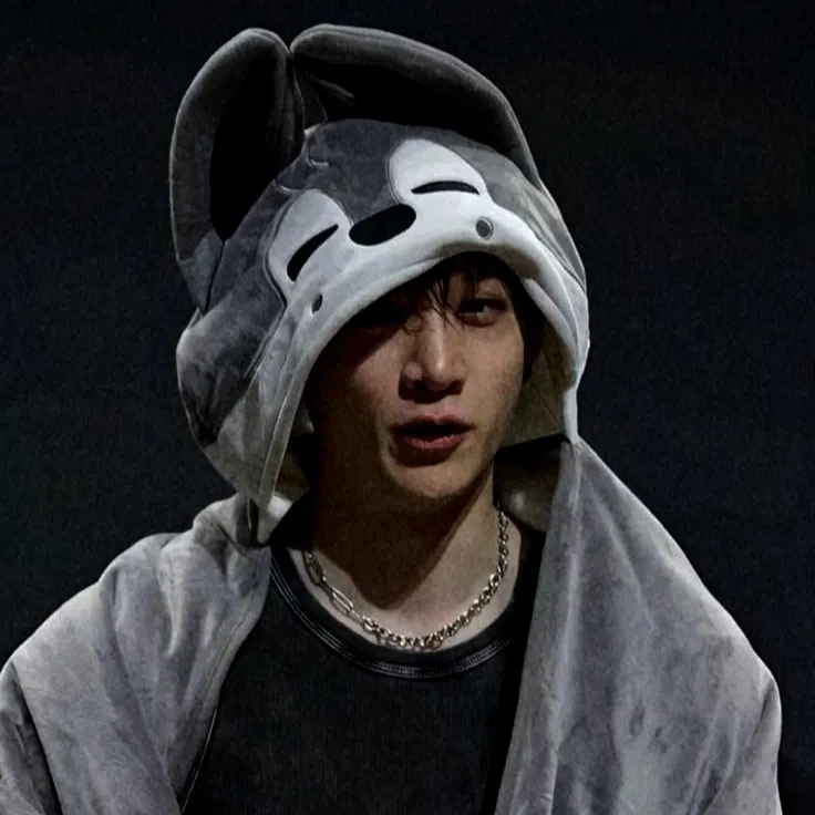 Avatar of Bang Chan — DogDay