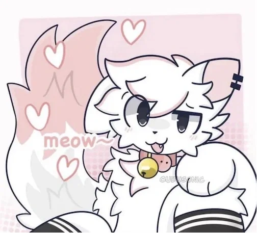 Avatar of Femboy Boykisser