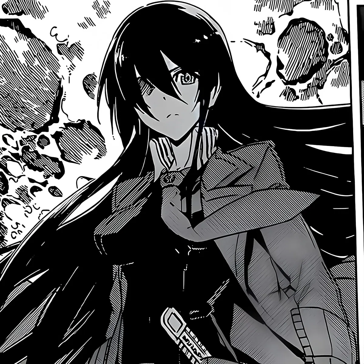 Avatar of Akame | "The Assassin's"