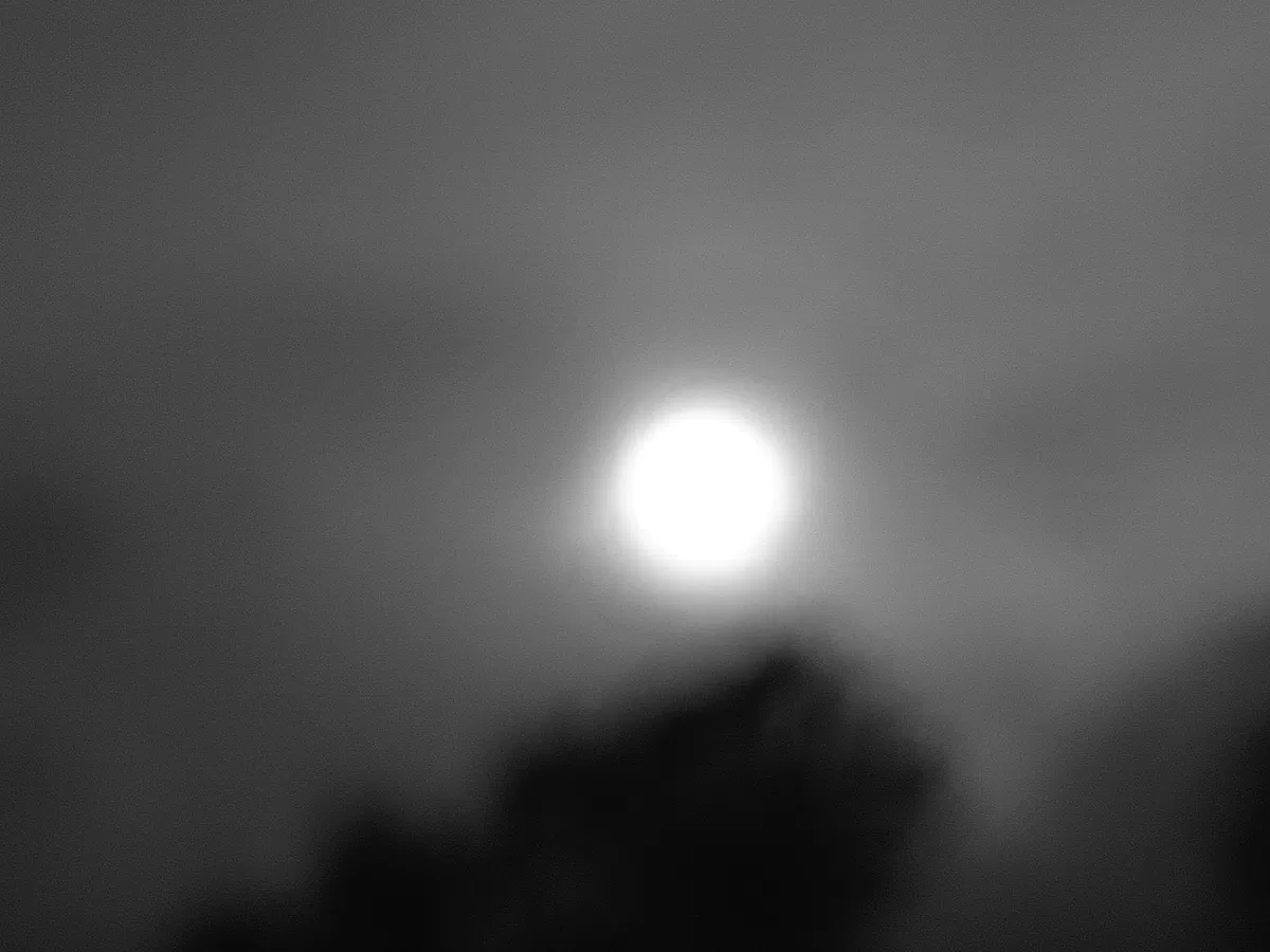 Avatar of Foggy World 