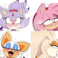 Avatar of Blaze, Amy, Rouge, And Vanilla