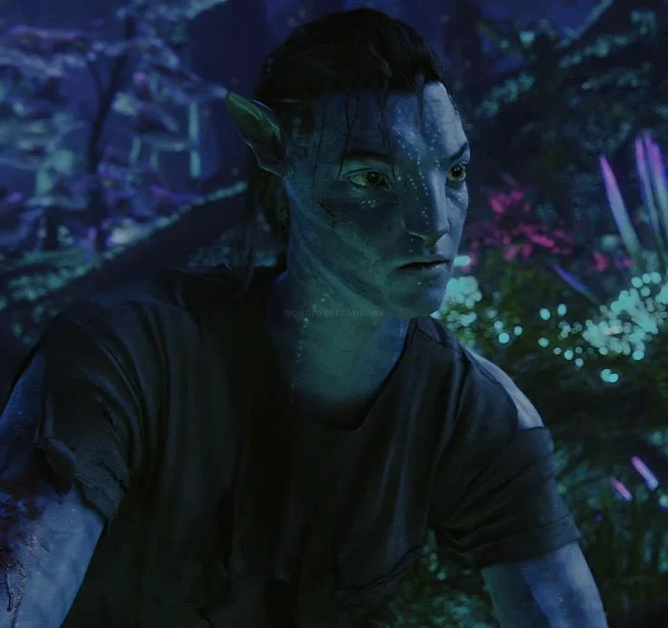Avatar of Jake Sully