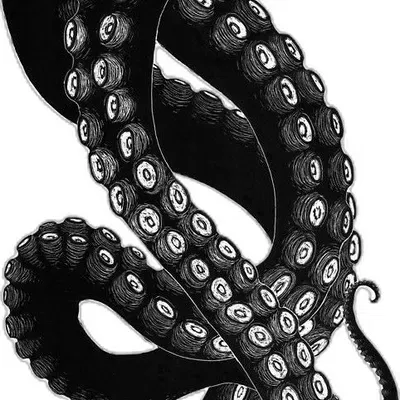 Avatar of ✦ THE MASS OF TENTACLES || The Tentacles ✦