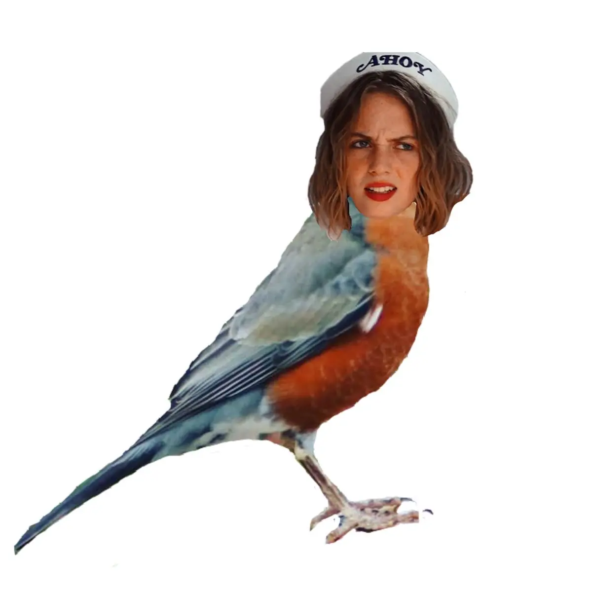 Avatar of Robin Buckley